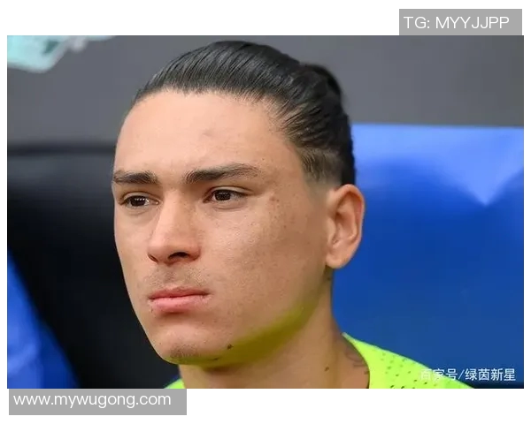 努涅斯在赛场上的崛起与挑战：探讨这位新星的未来发展潜力与影响力